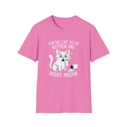 Cat T-Shirt - 'You've Cat To Be Kitten Me Right Meow' Softstyle Tee